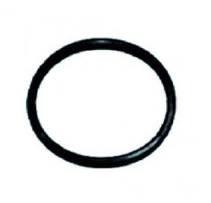 Ashirvad Aqualife UPVC Rubber Washer, 2579023